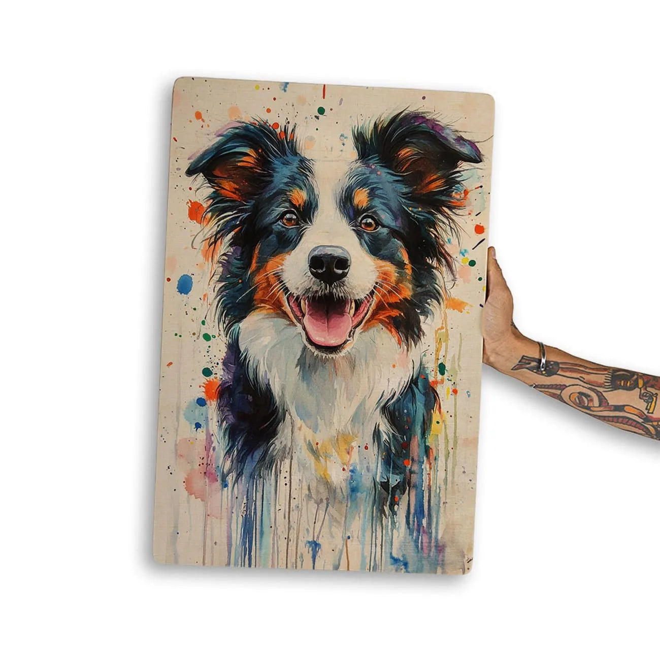 Quadro Decorativo  -  Border Collie Color