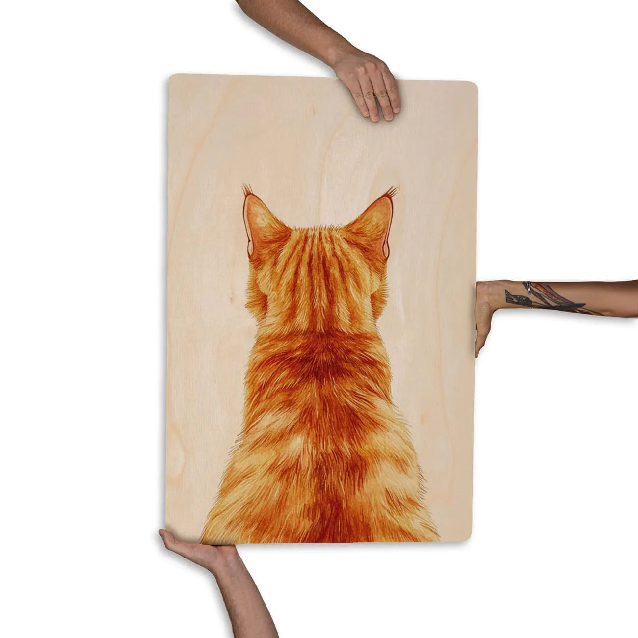 Quadro Decorativo  -  Olhar Felino