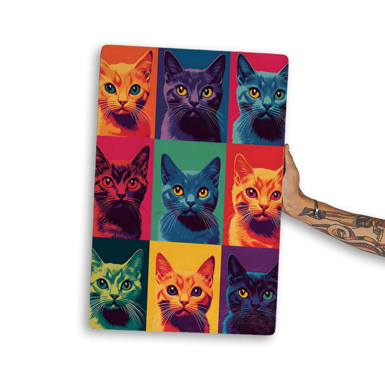 Quadro Decorativo  -   Gatinhos Color