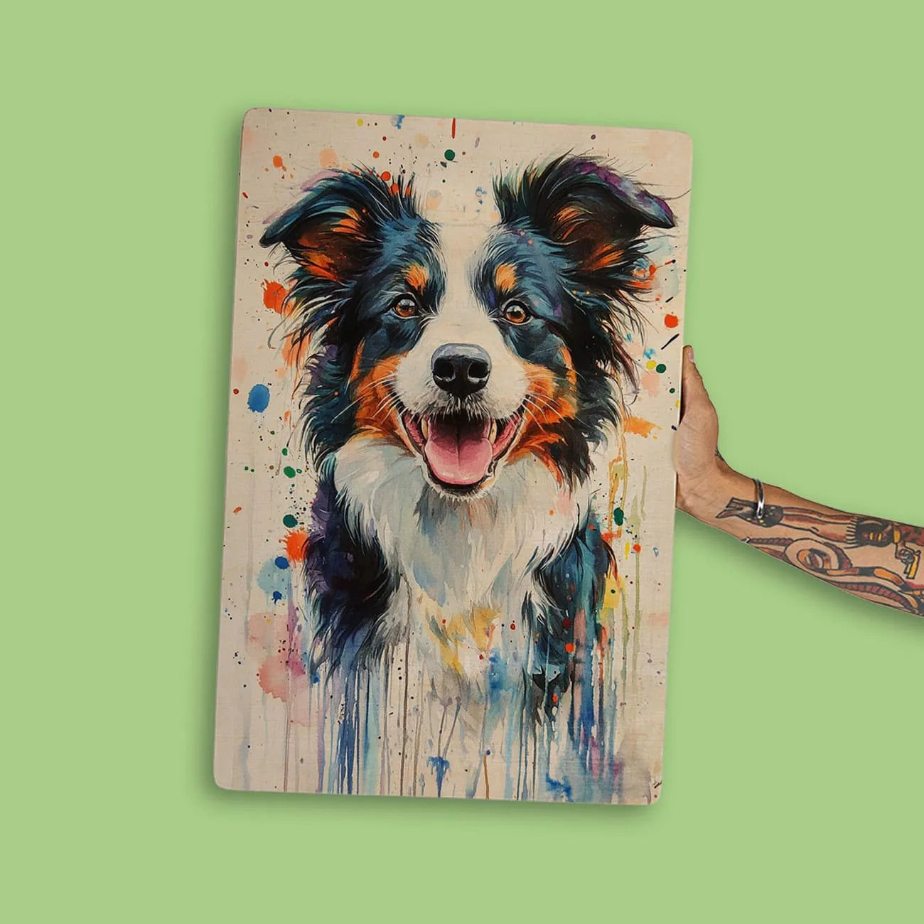 Quadro Decorativo  -  Border Collie Color