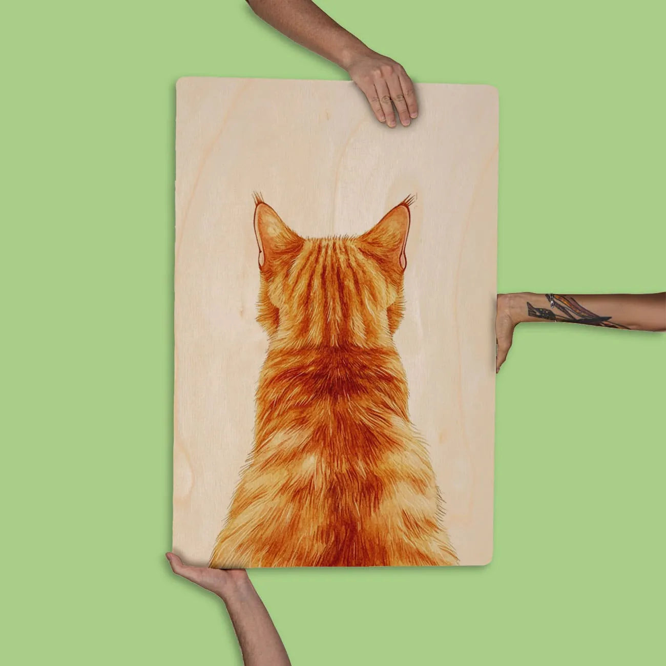 Quadro Decorativo  -  Olhar Felino