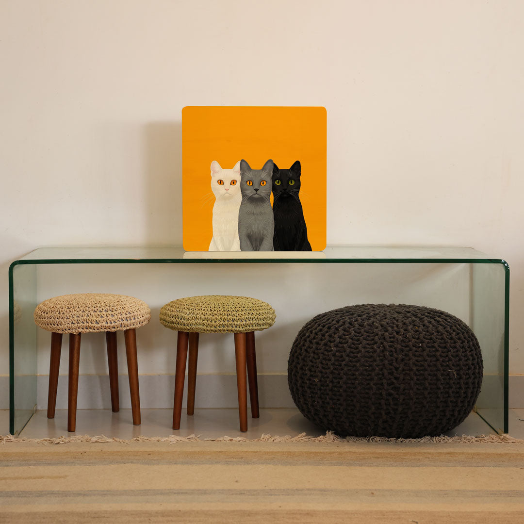 Quadro Decorativo  -   Three Cats