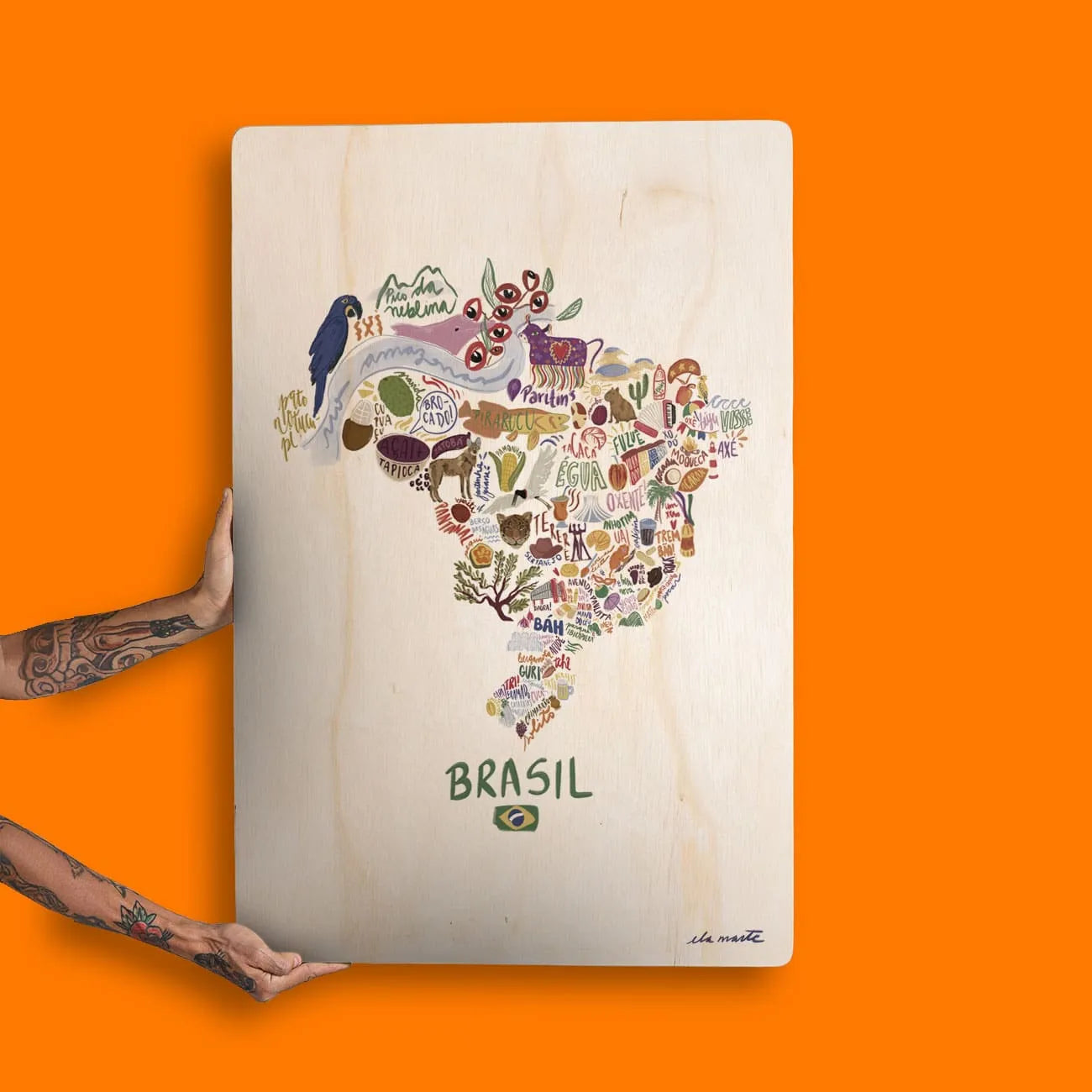 Quadro Decorativo -  Brasilidades