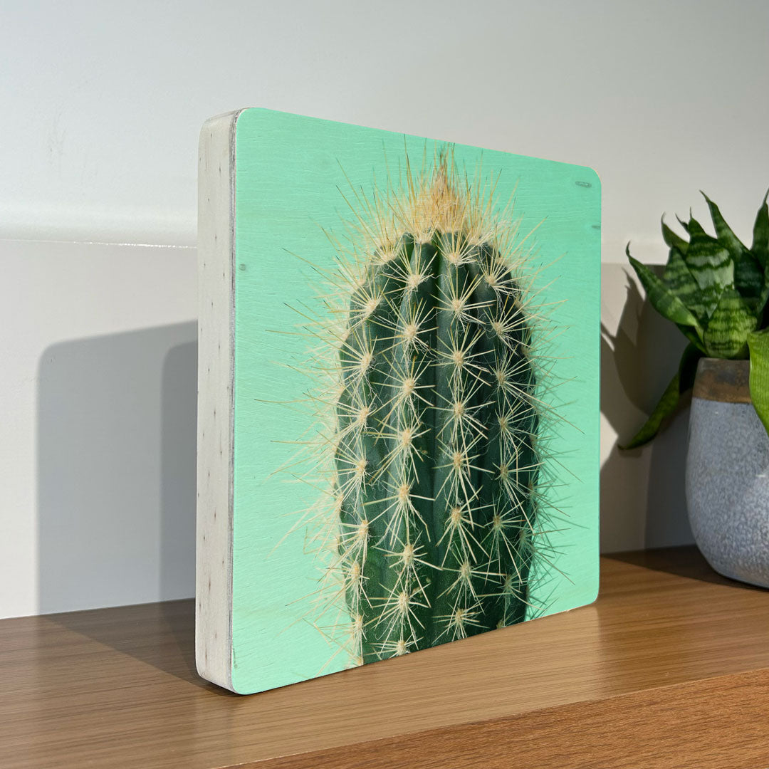 Quadro Decorativo - Cacto Verde 20 x 20 cm - Muralist Decor