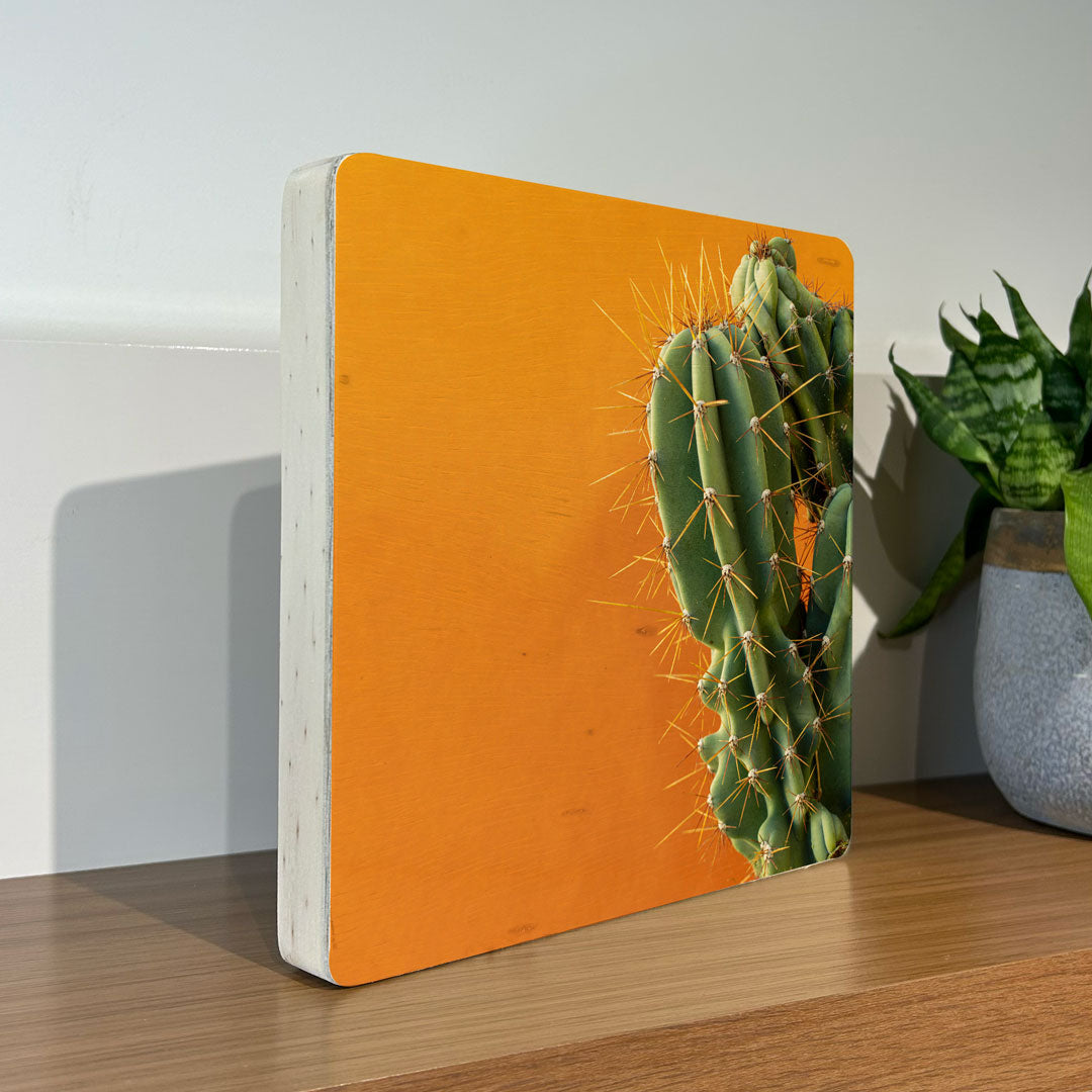 Quadro Decorativo - Cacto Laranja 20 x 20 cm - Muralist Decor