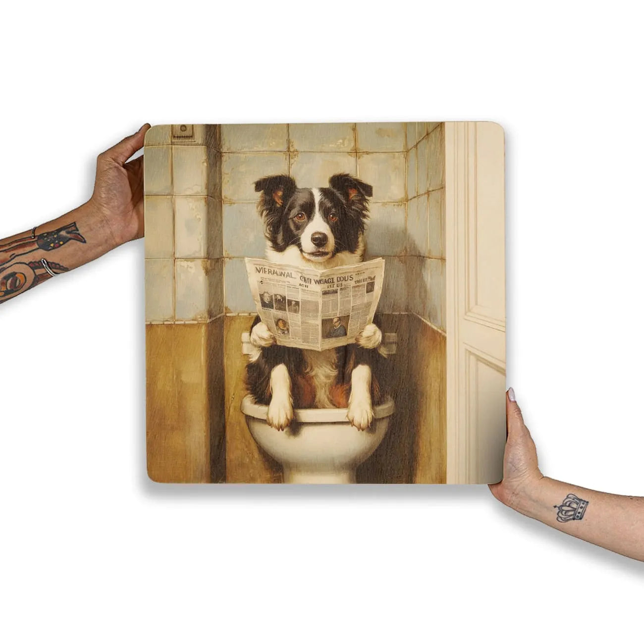 Quadro Decorativo  - Border Collie no banheiro
