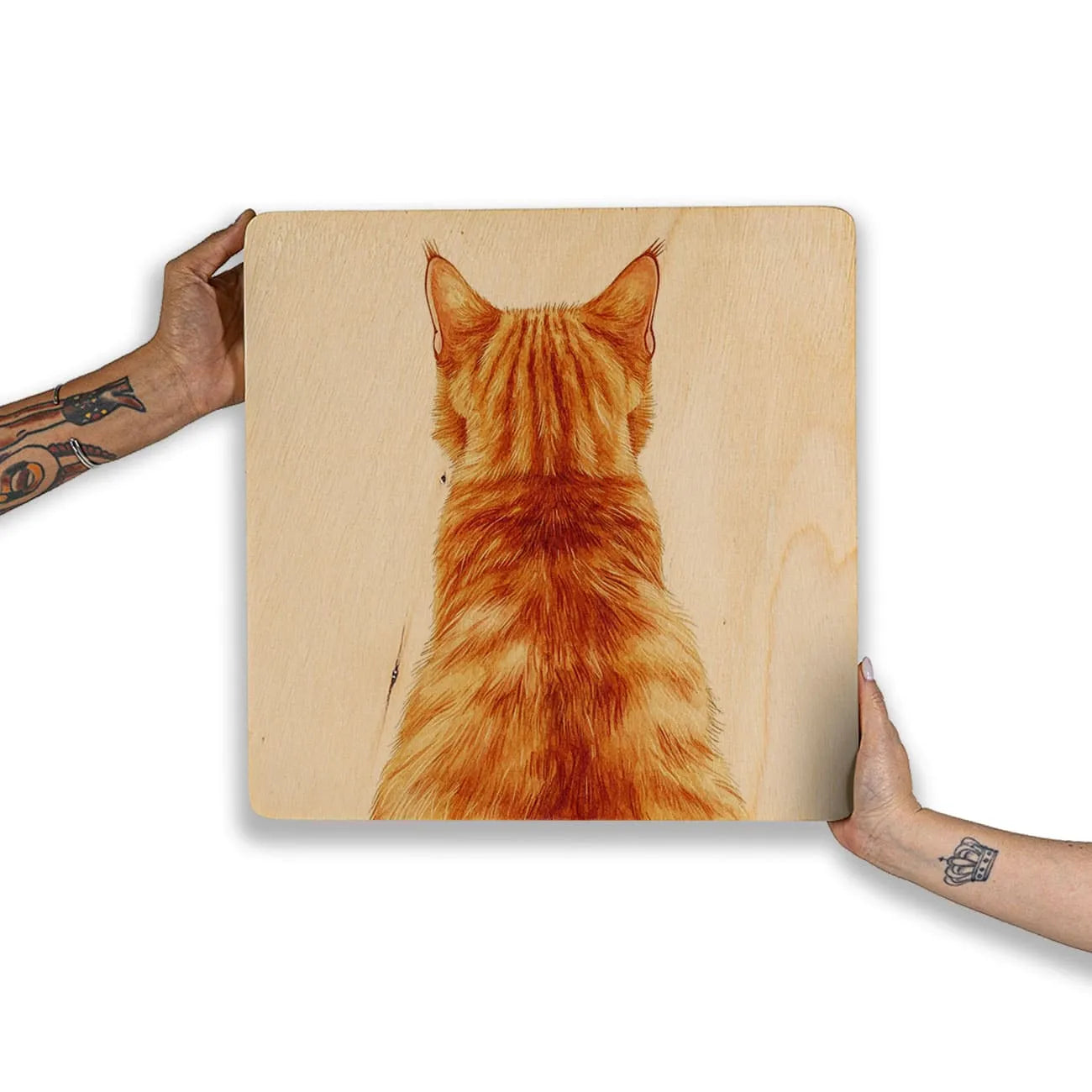 Quadro Decorativo  -  Olhar Felino