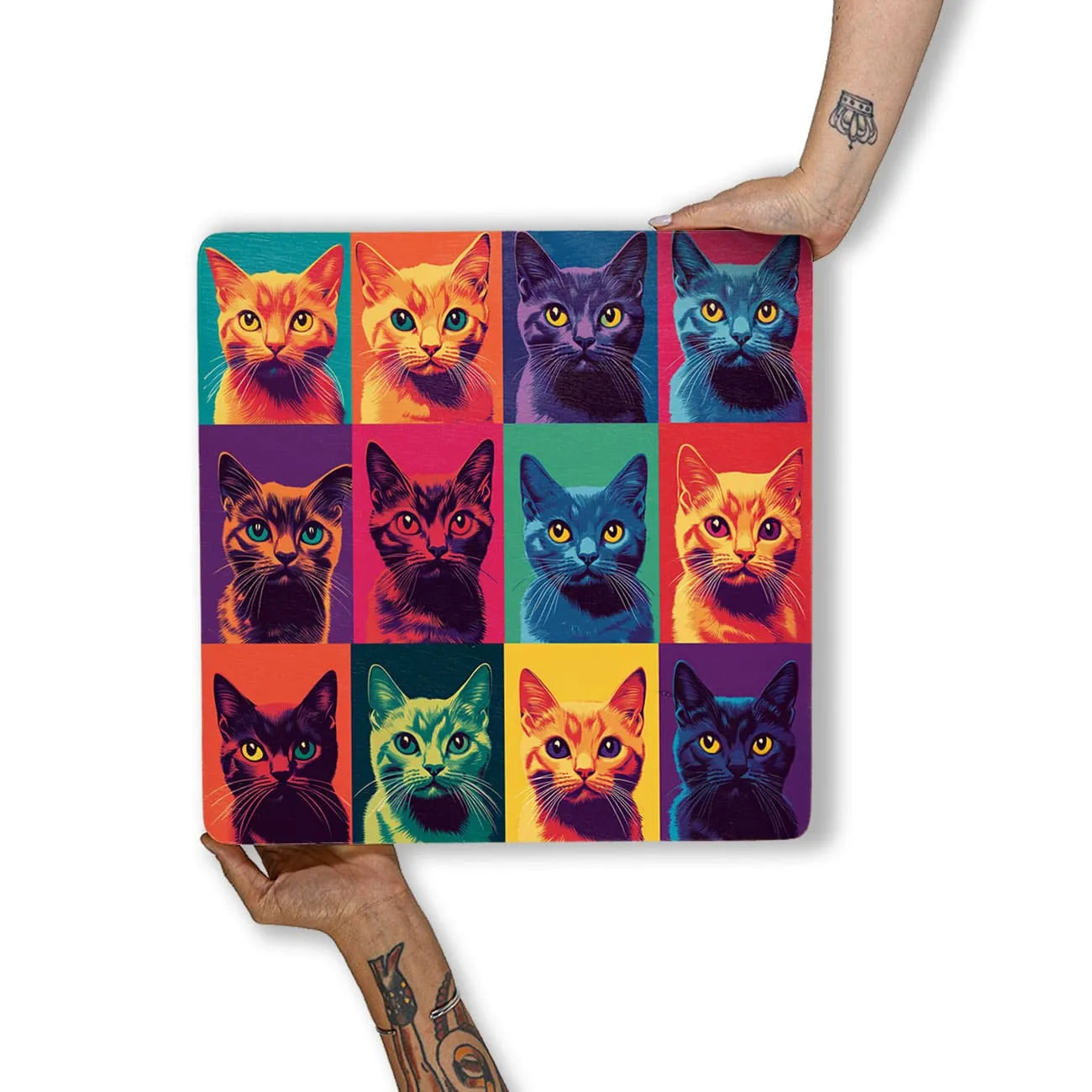Quadro Decorativo  -   Gatinhos Color