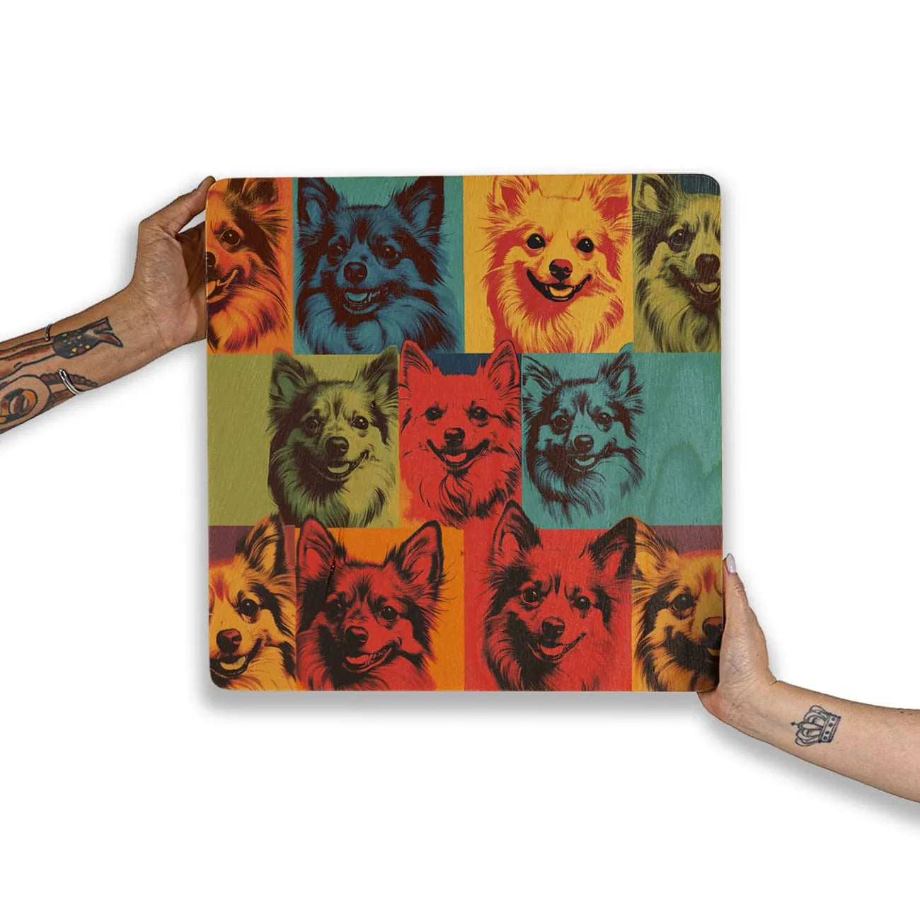 Quadro Decorativo  -  Spitz Colors