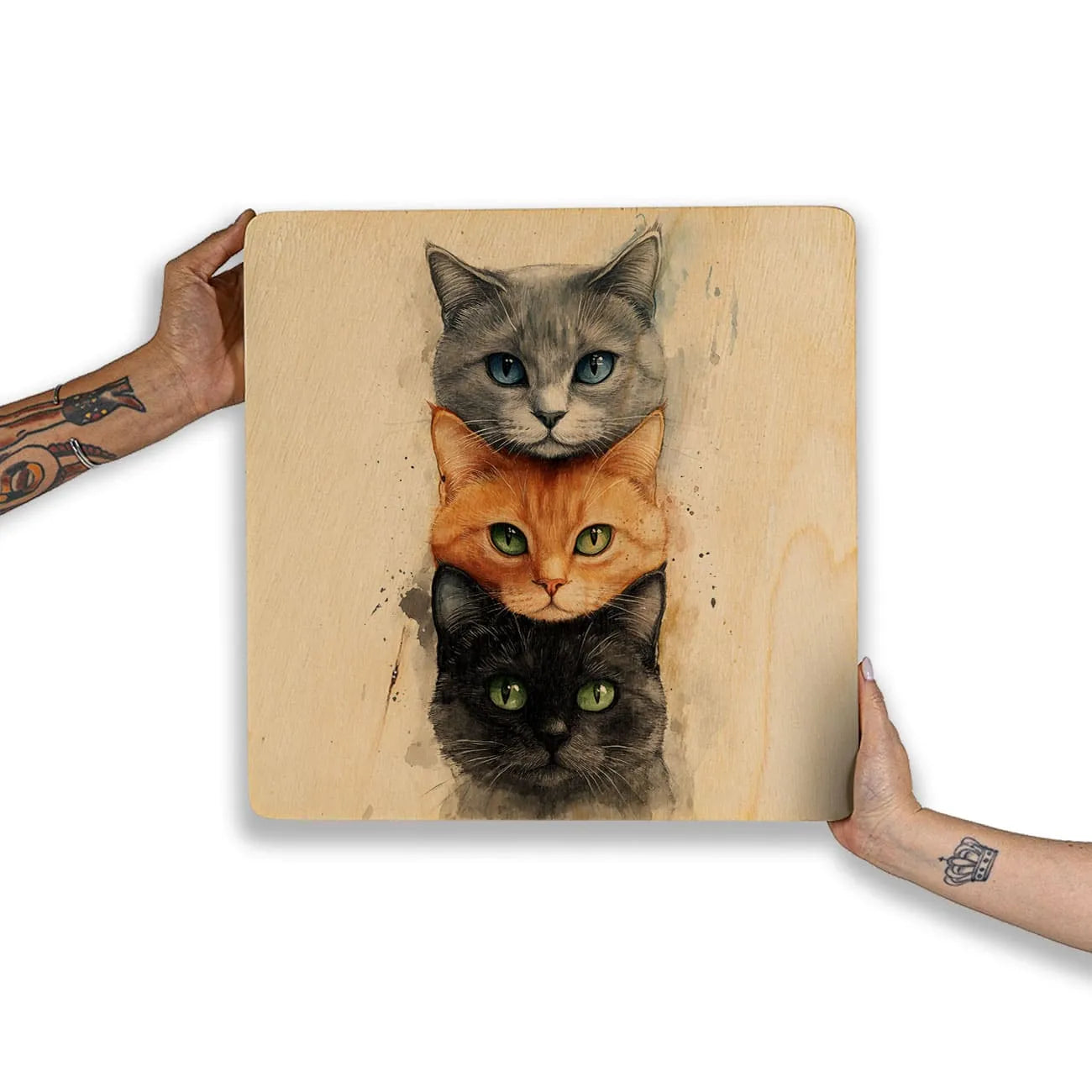 Quadro Decorativo  -  Gatinhos faces