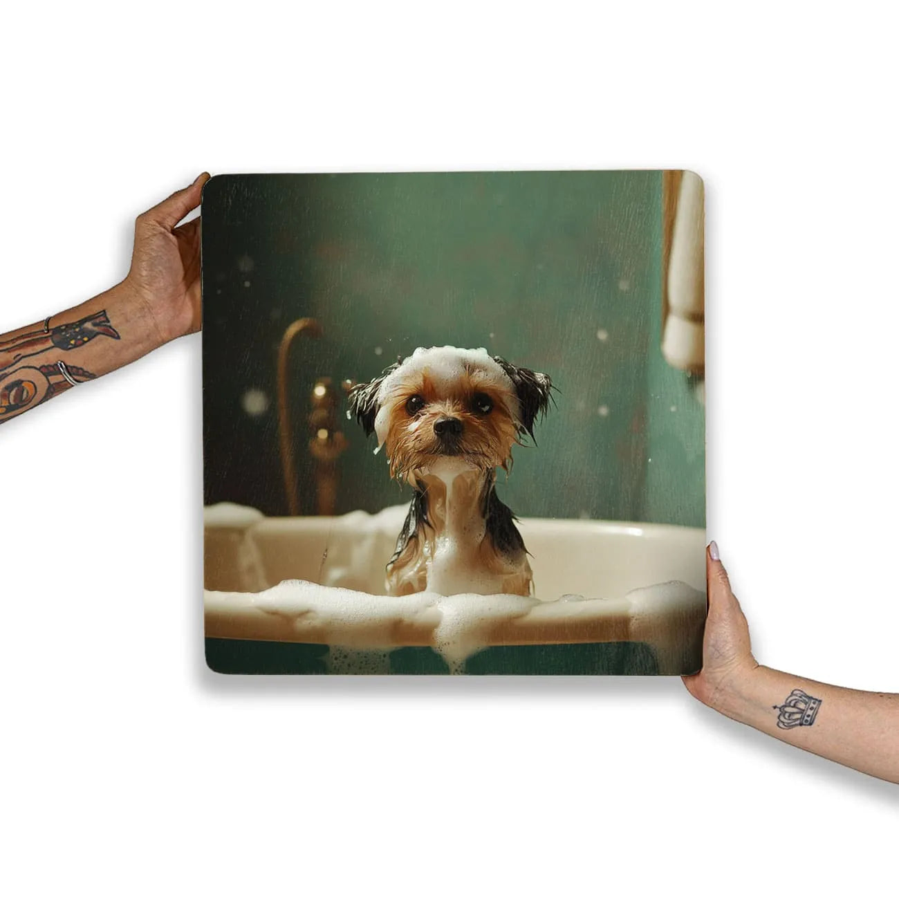 Quadro Decorativo  - Yorkshire no banho