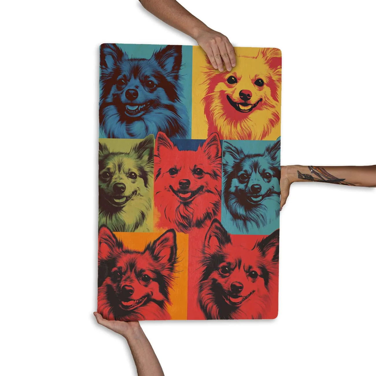 Quadro Decorativo  -  Spitz Colors
