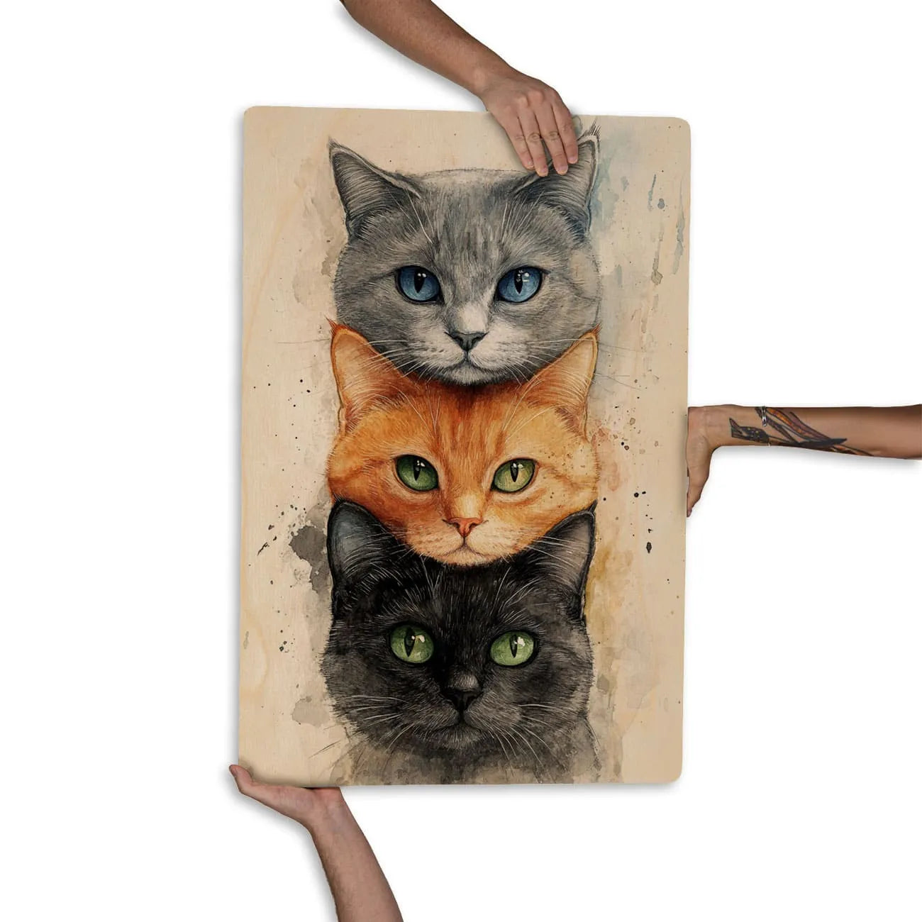 Quadro Decorativo  -  Gatinhos faces