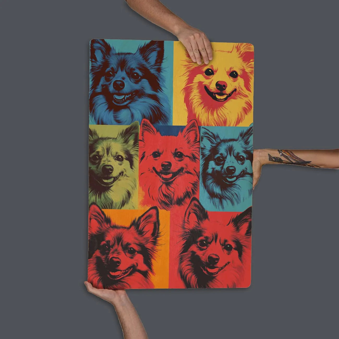 Quadro Decorativo  -  Spitz Colors