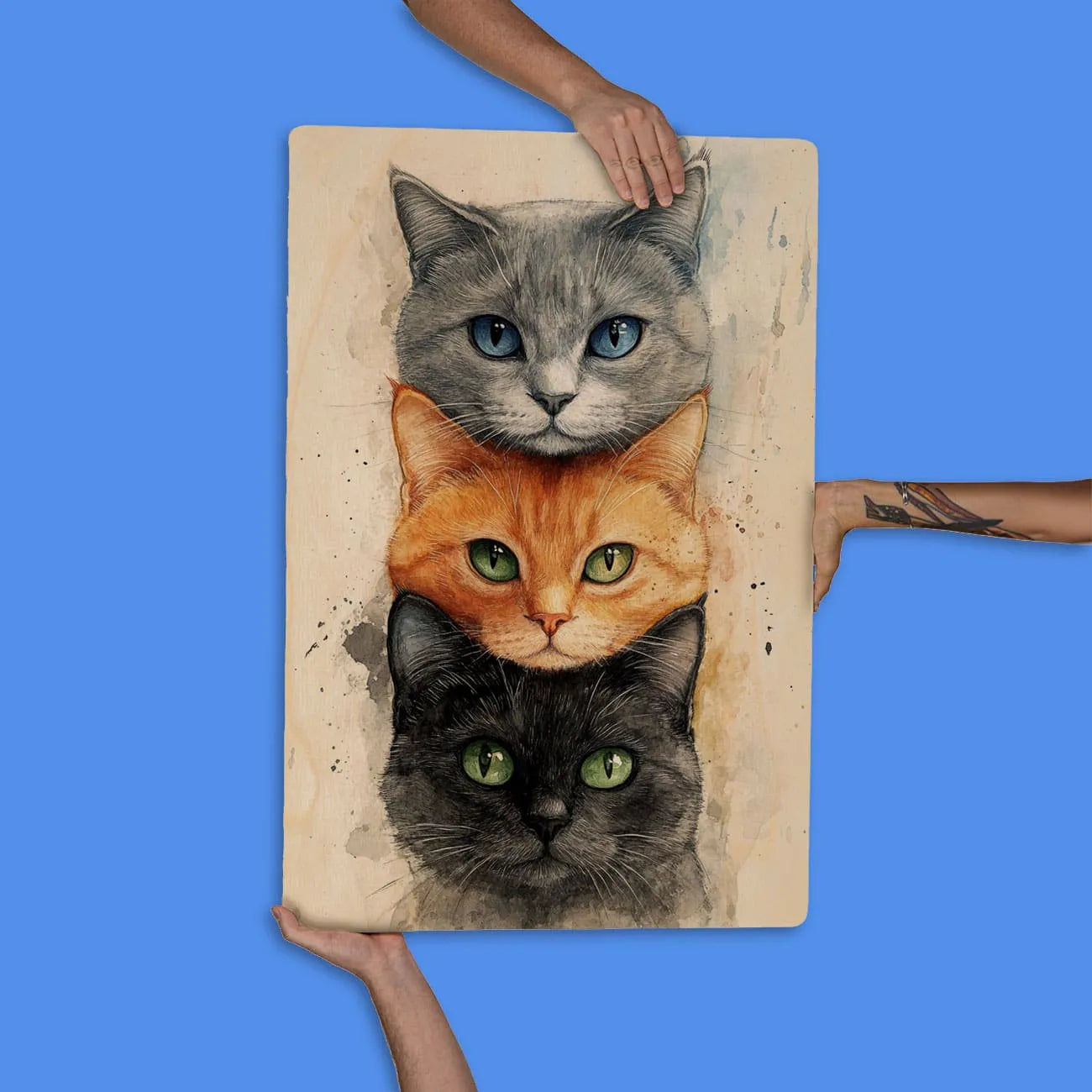 Quadro Decorativo  -  Gatinhos faces