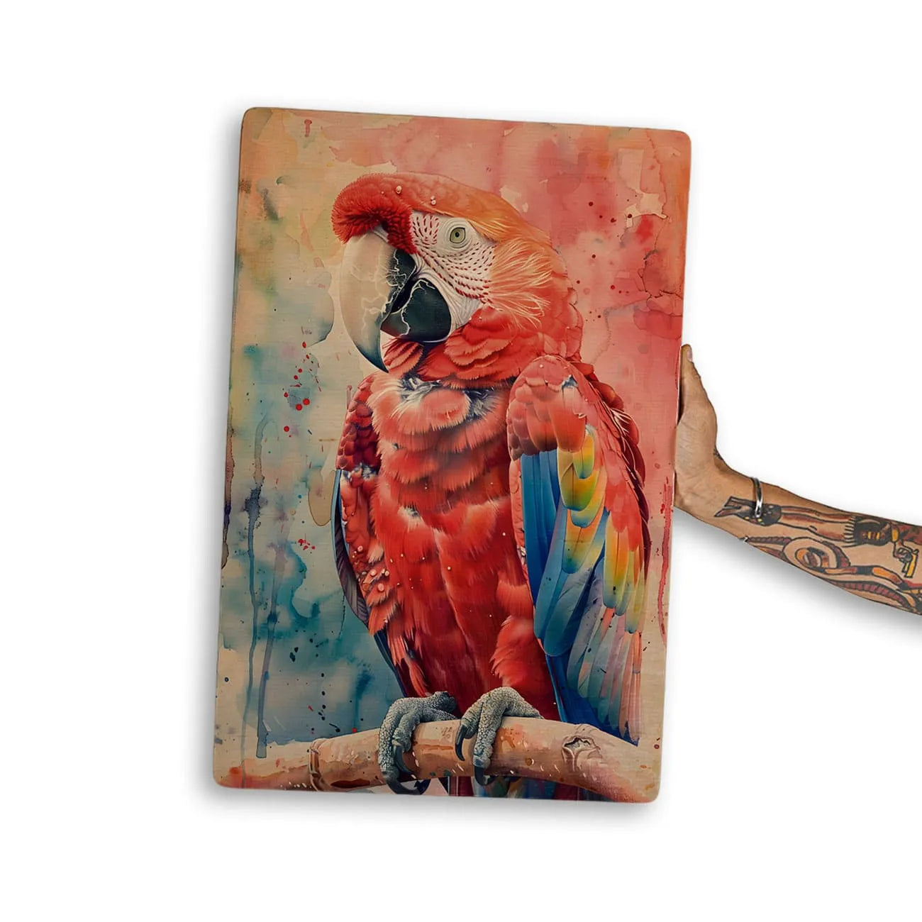 Quadro Decorativo -  Fauna Aquarela Arara Vermelha