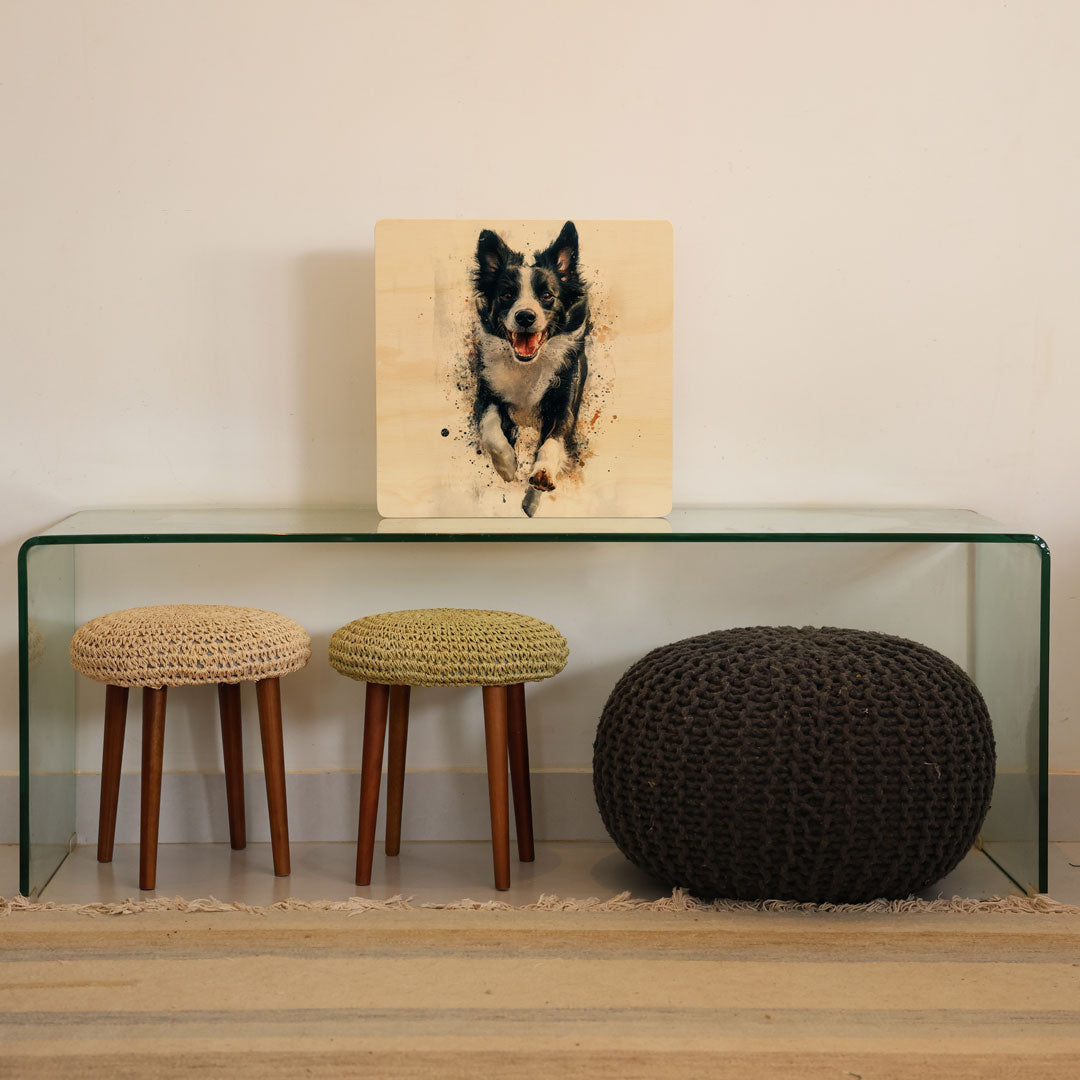 Quadro Decorativo  -  Border Collie