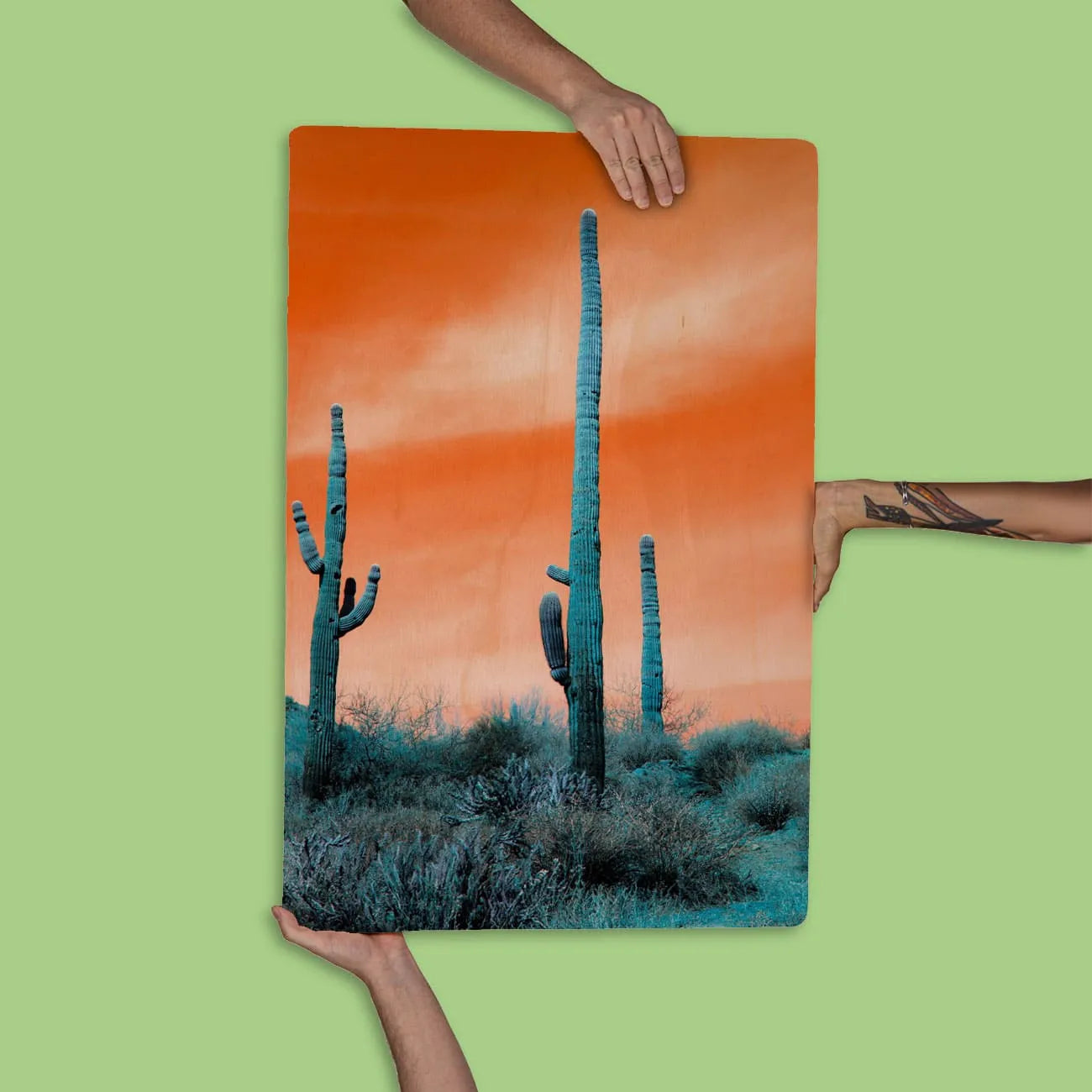 Quadro Decorativo - Cactos