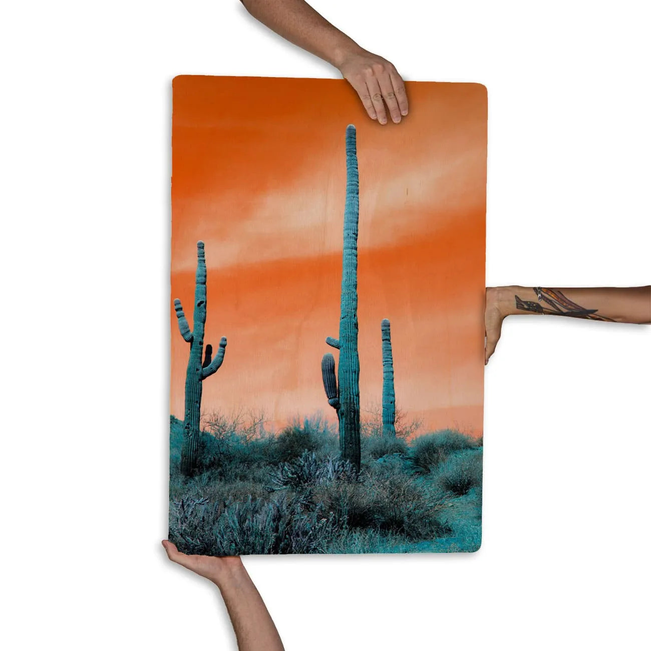 Quadro Decorativo - Cactos