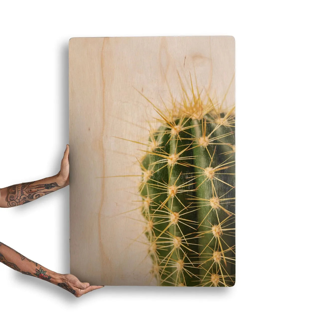 Quadro Decorativo - Cacto Clean