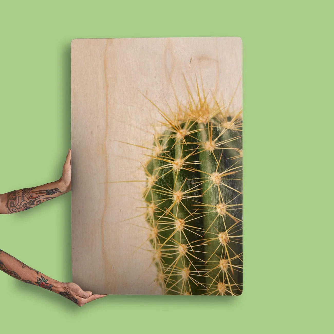 Quadro Decorativo - Cacto Clean