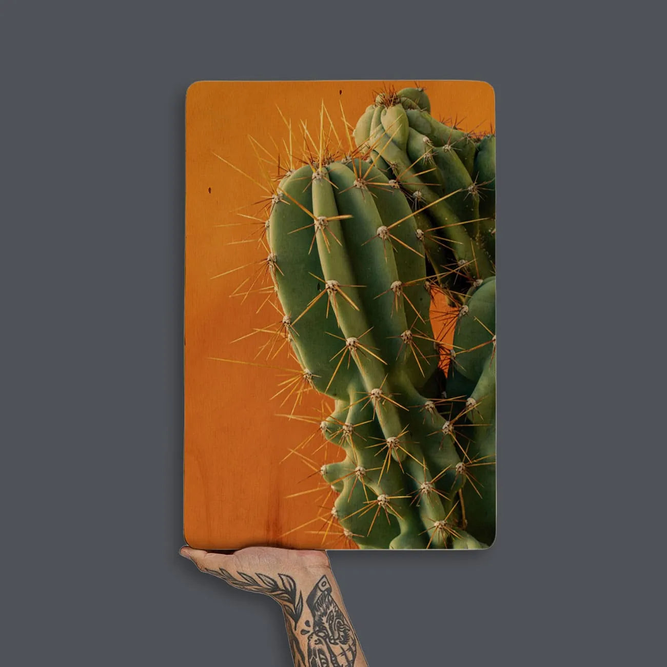 Quadro Decorativo - Cacto Laranja
