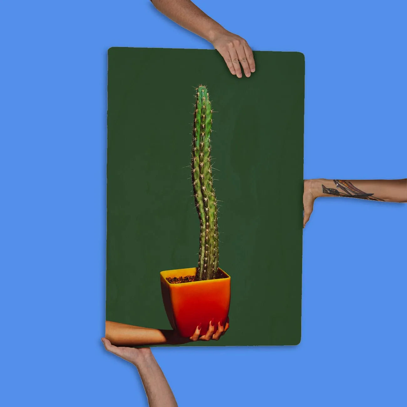 Quadro Decorativo - Cacto