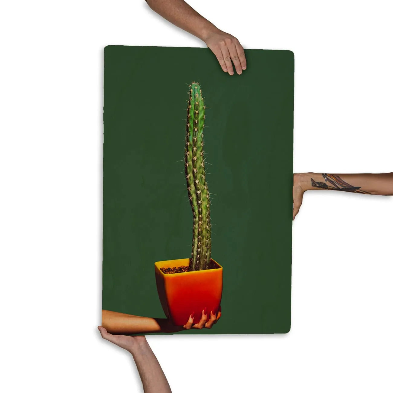 Quadro Decorativo - Cacto