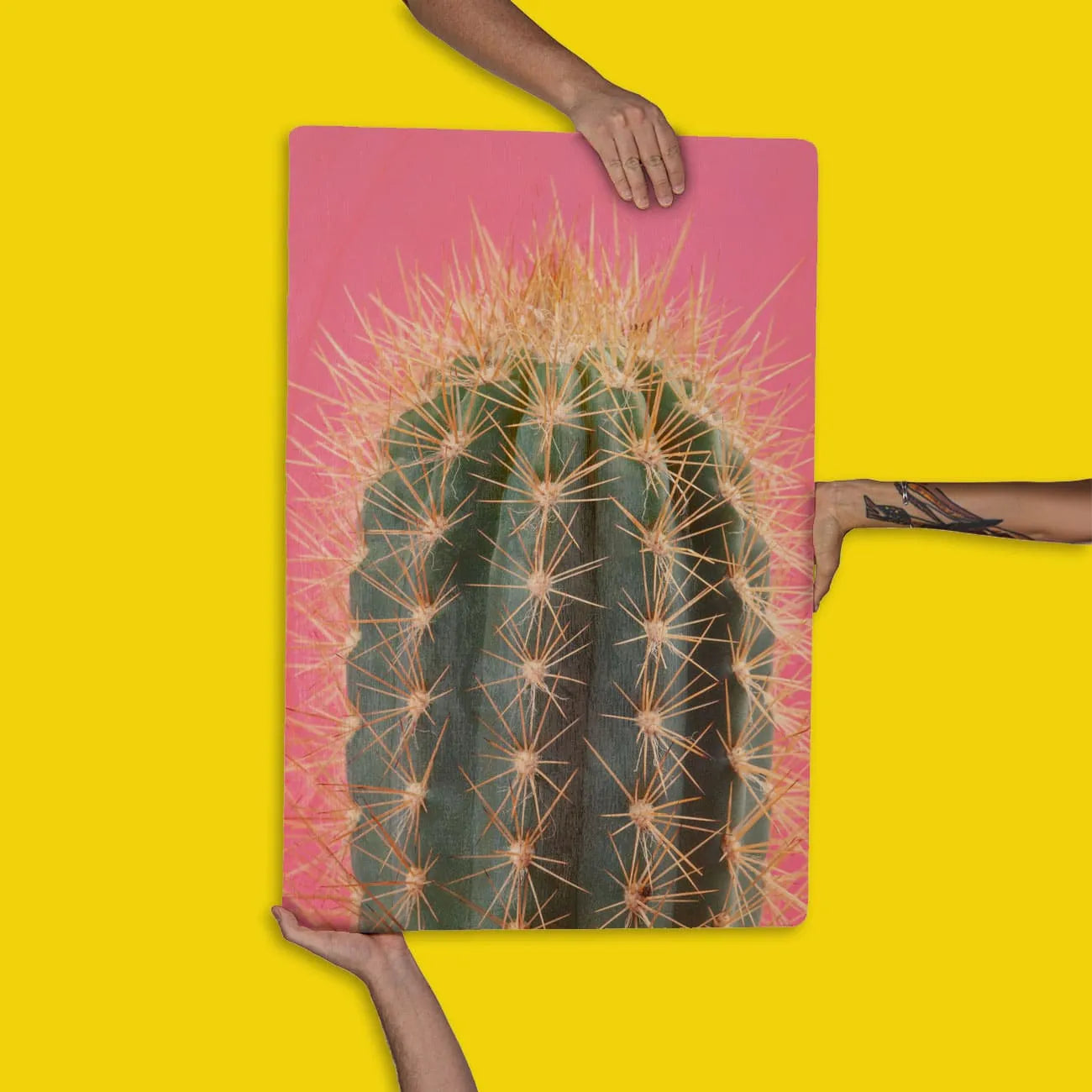 Quadro Decorativo - Cacto Rosa e Verde