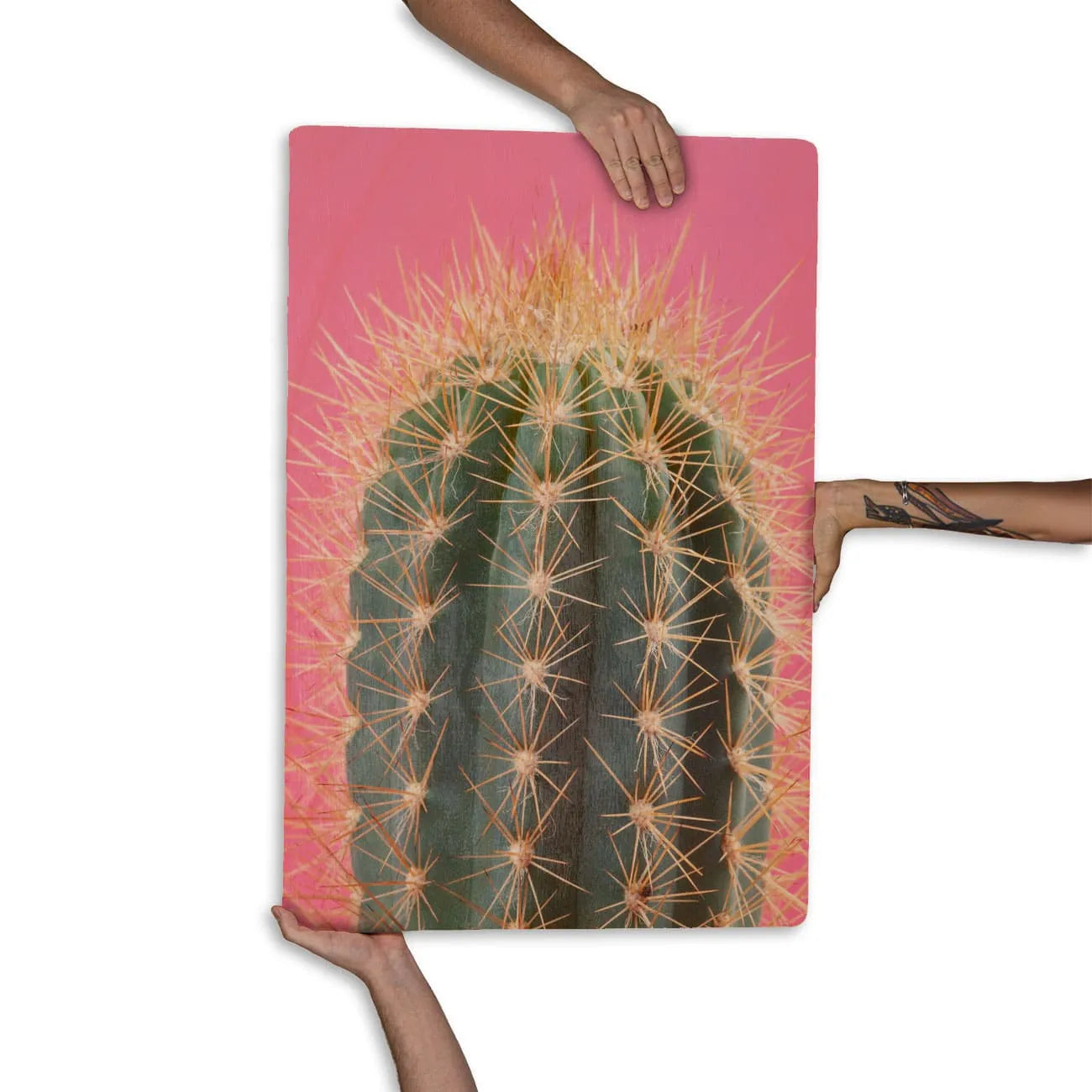 Quadro Decorativo - Cacto Rosa e Verde