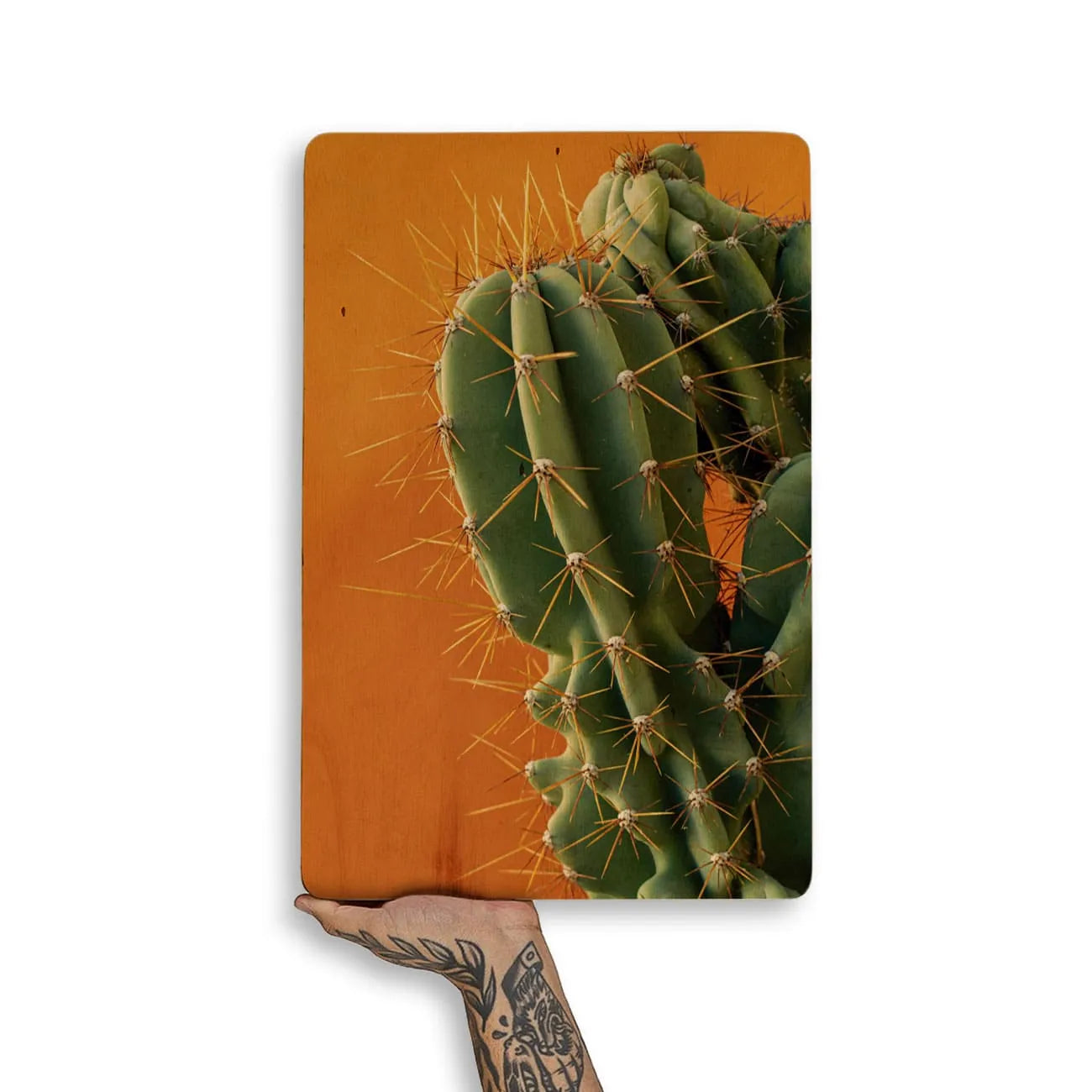 Quadro Decorativo - Cacto Laranja