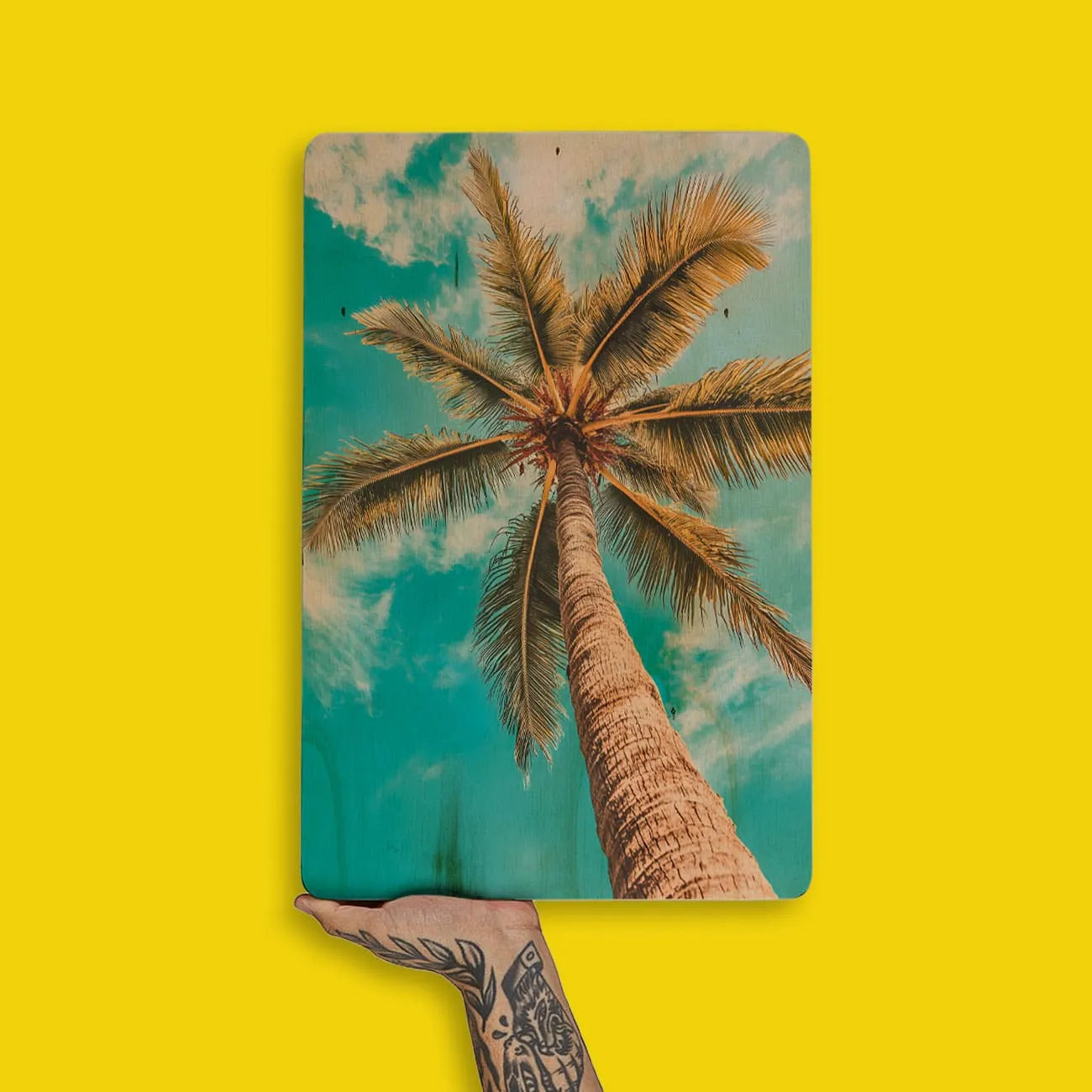 Quadro Decorativo  - Coconut