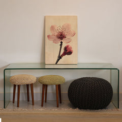 Quadro Decorativo - Flor de Cerejeira 50 x 33 cm - Muralist Decor