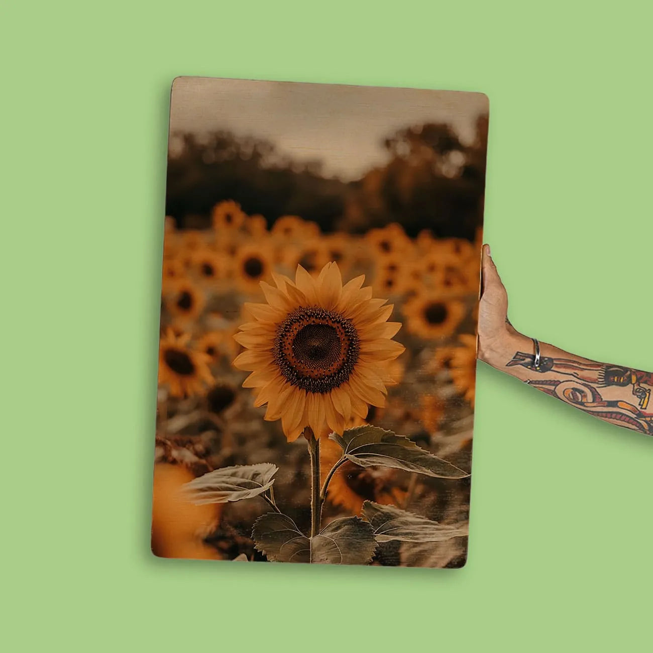 Quadro Decorativo  - Girassol