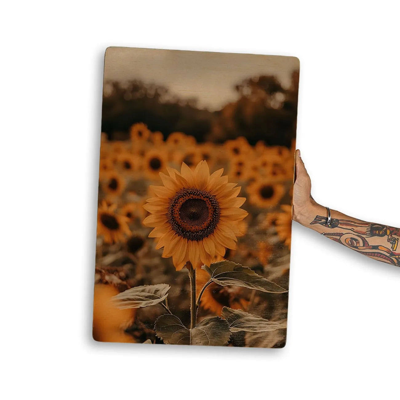 Quadro Decorativo  - Girassol