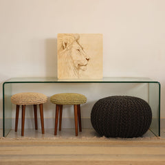 Quadro Decorativo - Leão Linhas