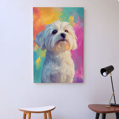 Quadro Decorativo  -  Maltês Color