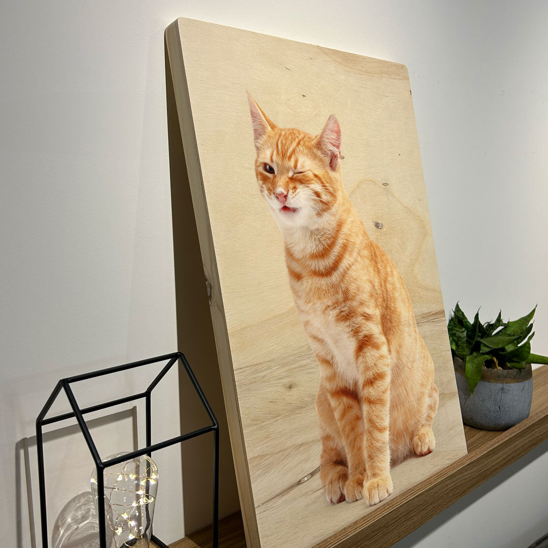 Quadro Decorativo - Love Cat