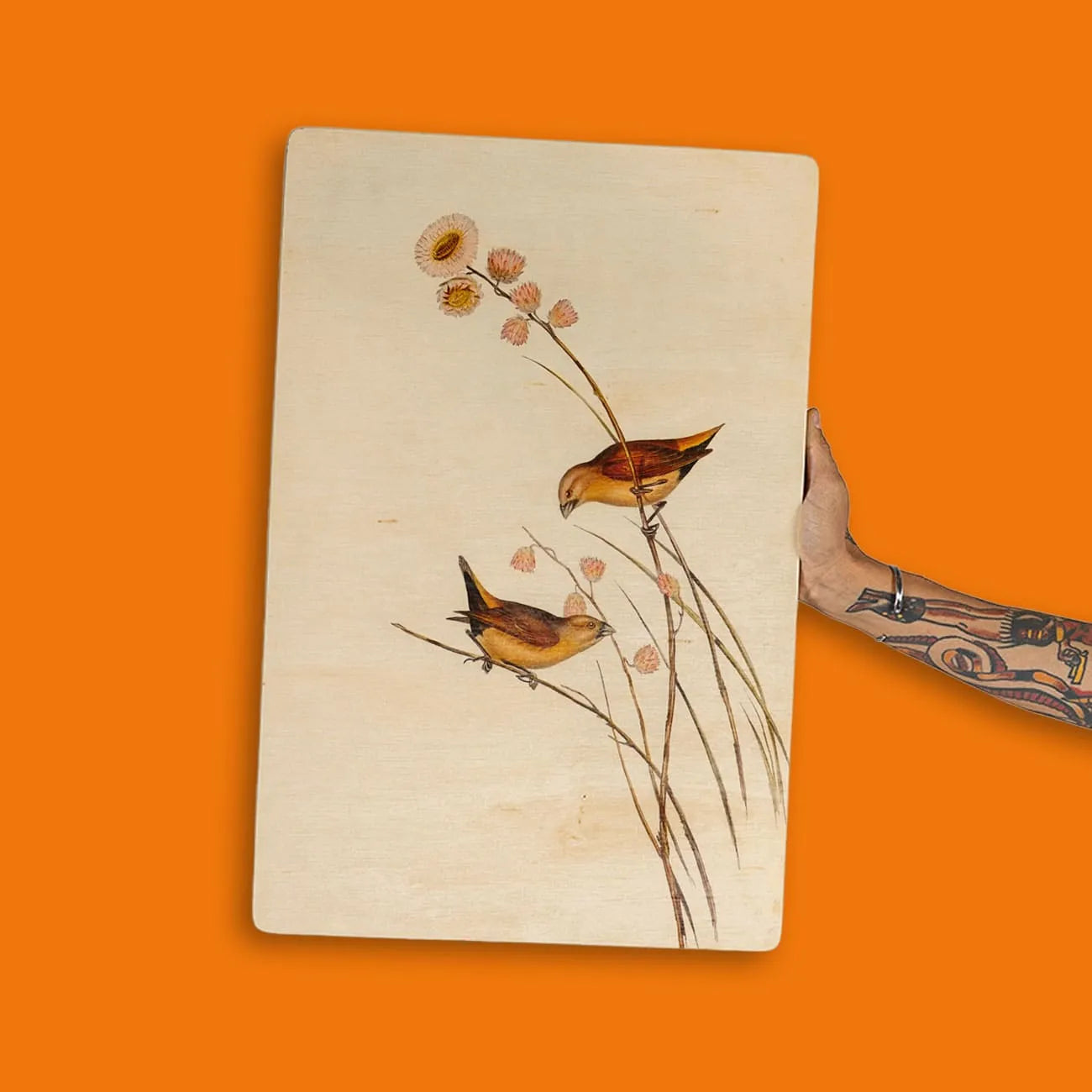 Quadro Decorativo - Passarinhos