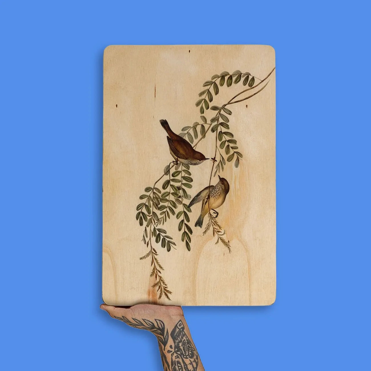 Quadro Decorativo - Pássaros