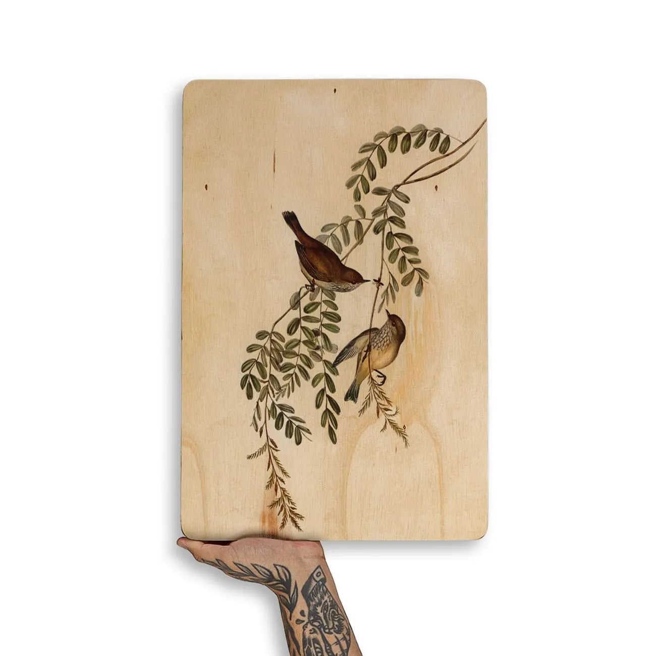 Quadro Decorativo - Pássaros