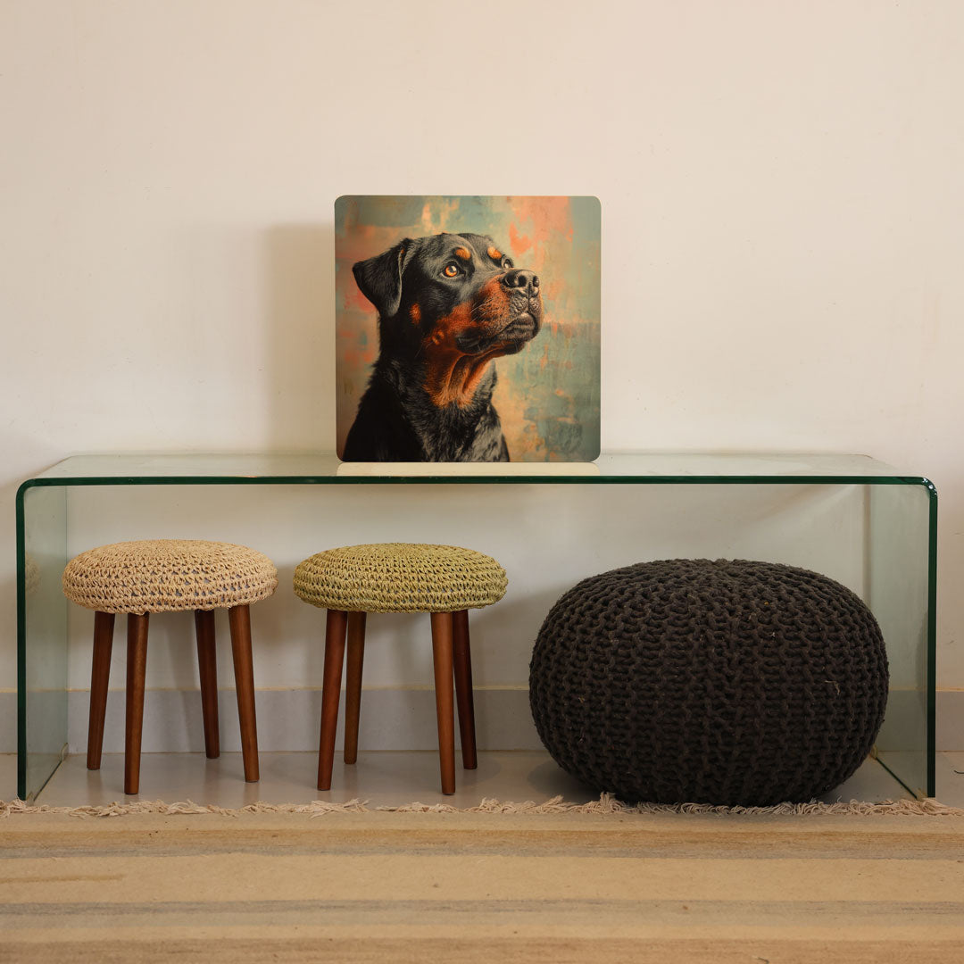 Quadro Decorativo  -  Rottweiler