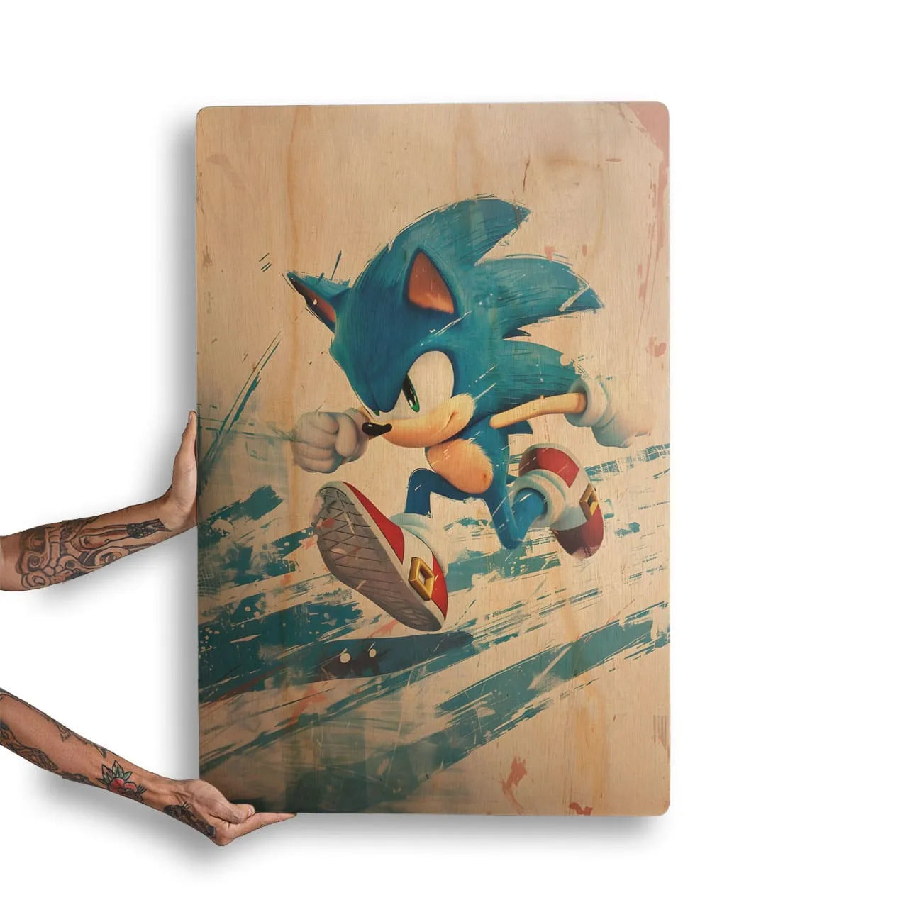 Quadro Decorativo -  Sonic