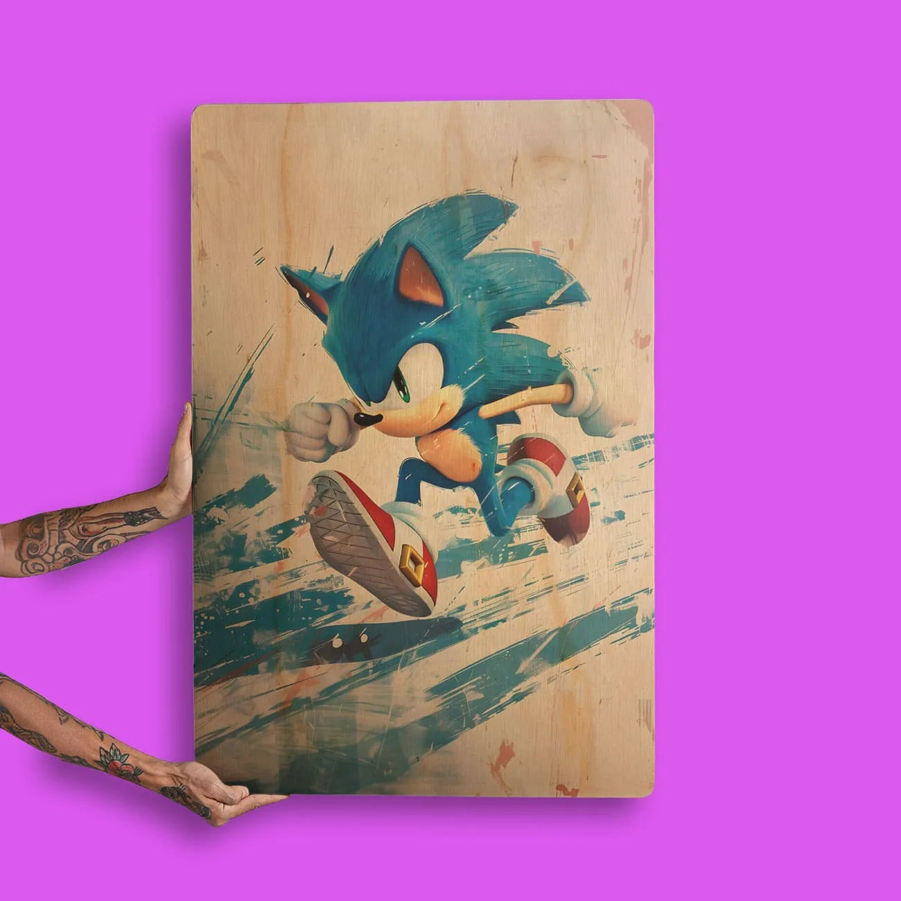 Quadro Decorativo -  Sonic