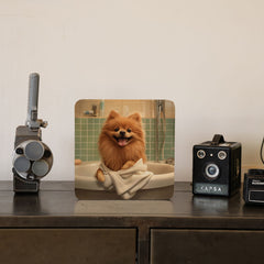 Quadro Decorativo  - Spitz na banheira
