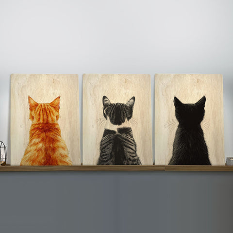 Quadro Decorativo - Kit Trio Felino